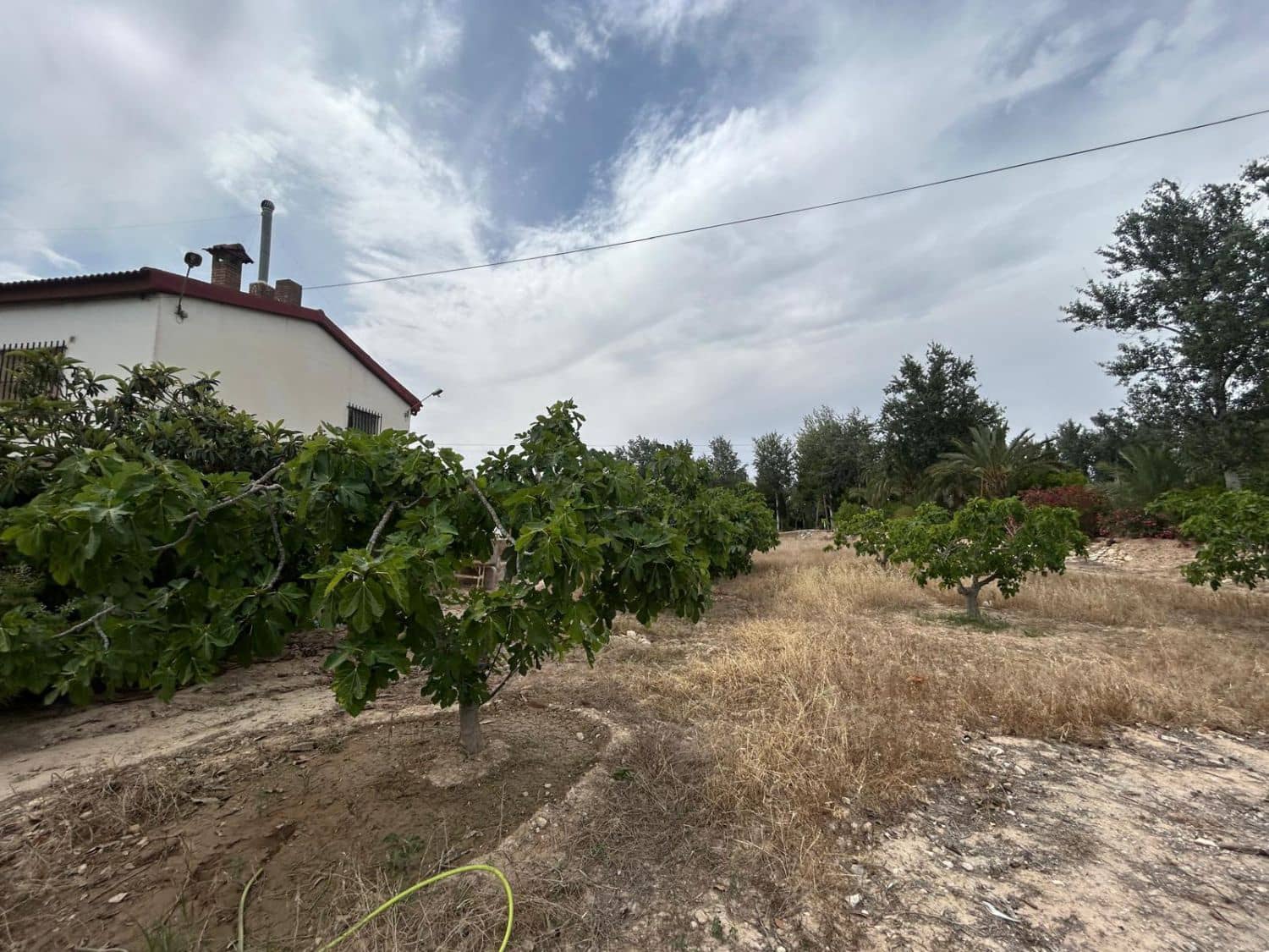 5 makuuhuone Maalaistalo myytävänä paikassa Crevillente / Crevillent mukana 
autotalli - 195 000 € (Ref: 9788243)