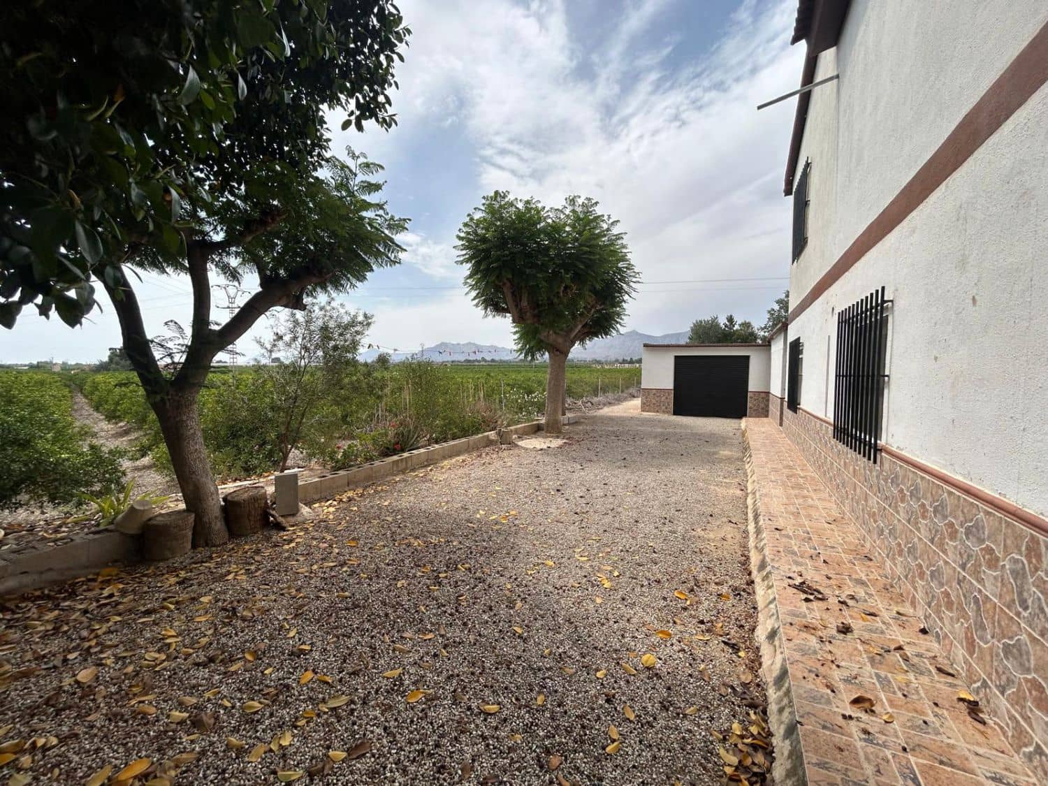 5 makuuhuone Maalaistalo myytävänä paikassa Crevillente / Crevillent mukana 
autotalli - 195 000 € (Ref: 9788243)