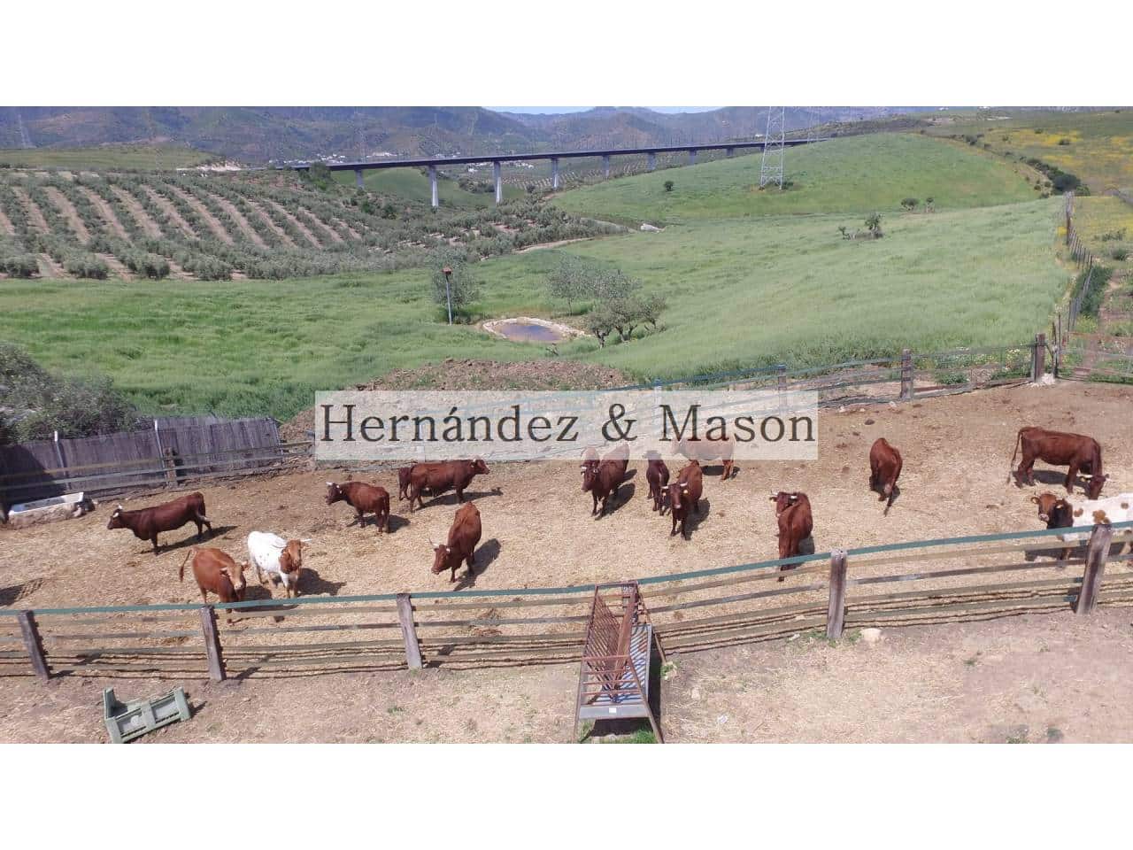 4 sypialnia Finka/Dom wiejski na sprzedaż w Bermejo - 1 070 000 € (Ref: 6748150)