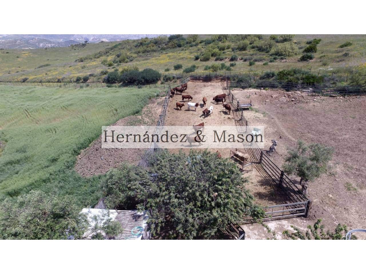 4 sypialnia Finka/Dom wiejski na sprzedaż w Bermejo - 1 070 000 € (Ref: 6748150)