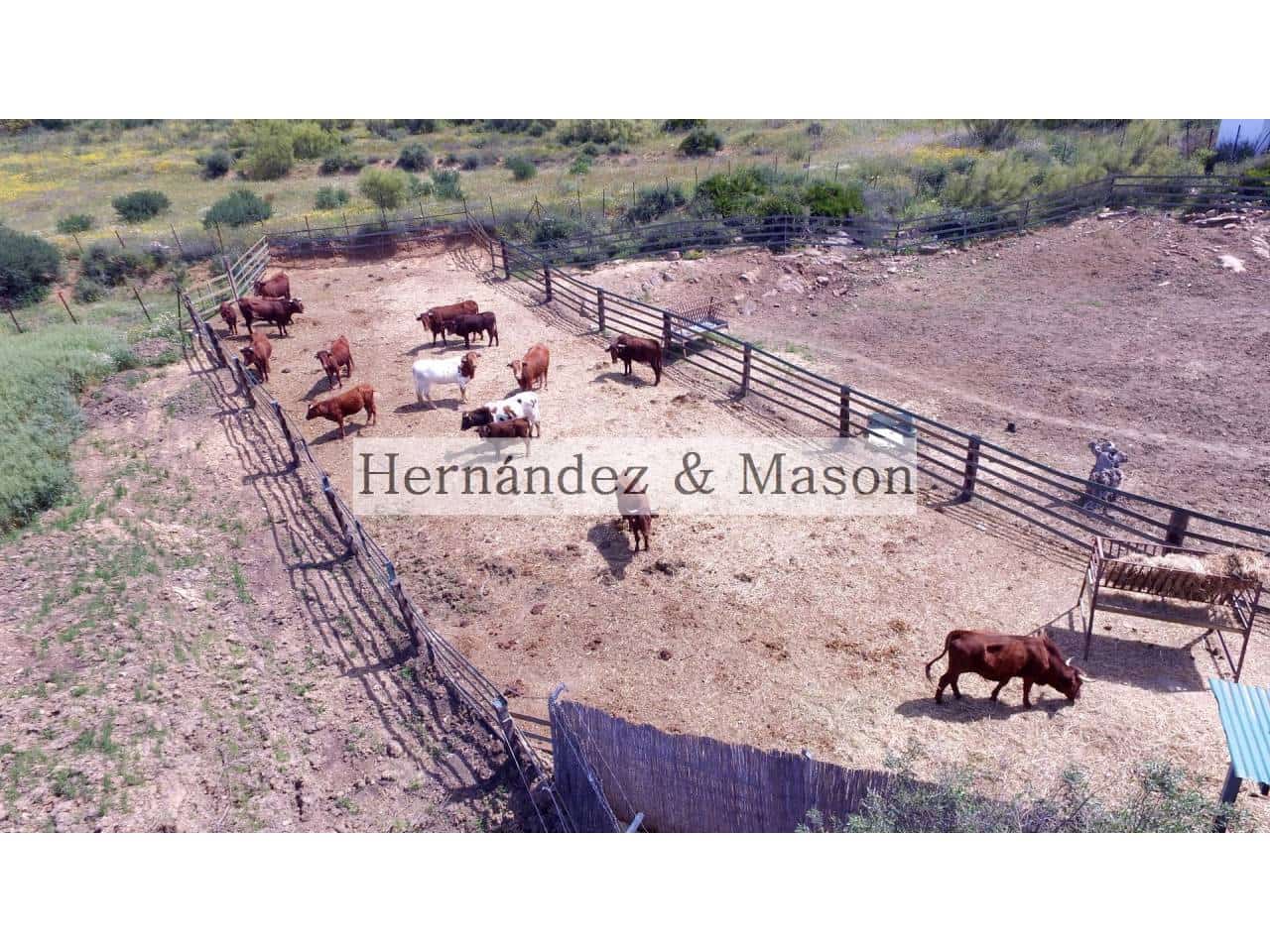 4 sypialnia Finka/Dom wiejski na sprzedaż w Bermejo - 1 070 000 € (Ref: 6748150)