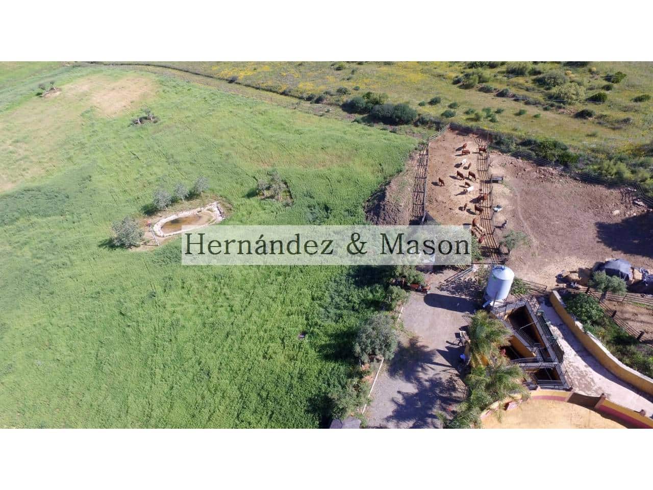 4 sypialnia Finka/Dom wiejski na sprzedaż w Bermejo - 1 070 000 € (Ref: 6748150)