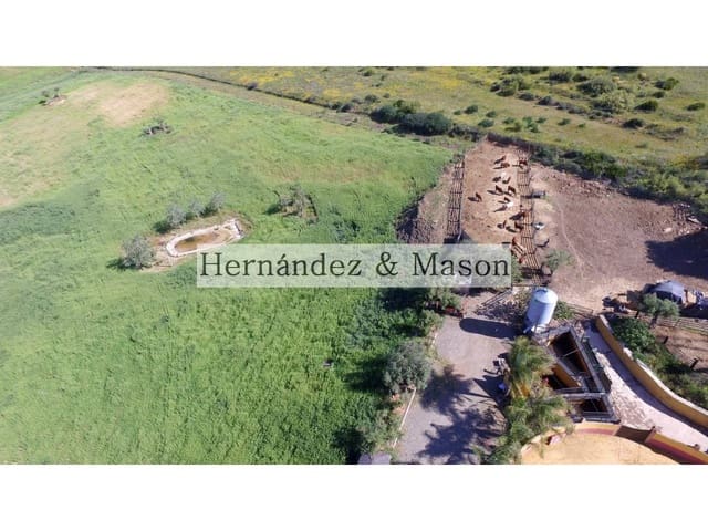 4 sypialnia Finka/Dom wiejski na sprzedaż w Bermejo, Alora - 1 070 000 € (Ref: 6748150)