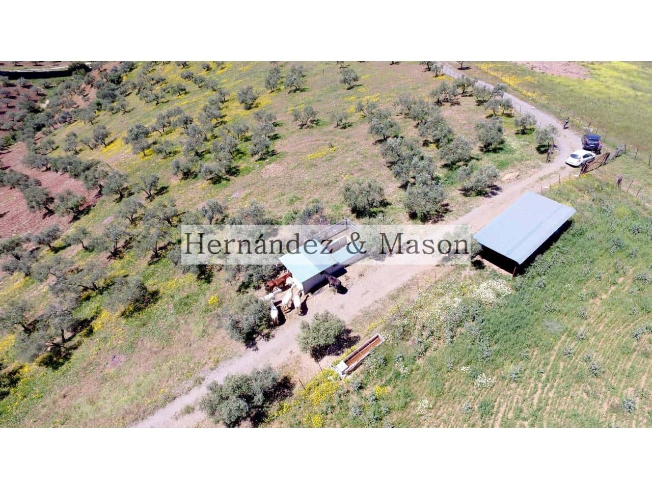 4 sypialnia Finka/Dom wiejski na sprzedaż w Bermejo - 1 070 000 € (Ref: 6748150)