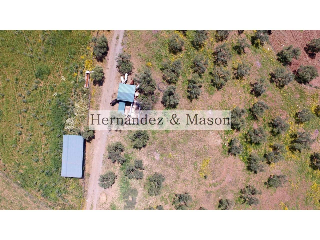 4 sypialnia Finka/Dom wiejski na sprzedaż w Bermejo - 1 070 000 € (Ref: 6748150)