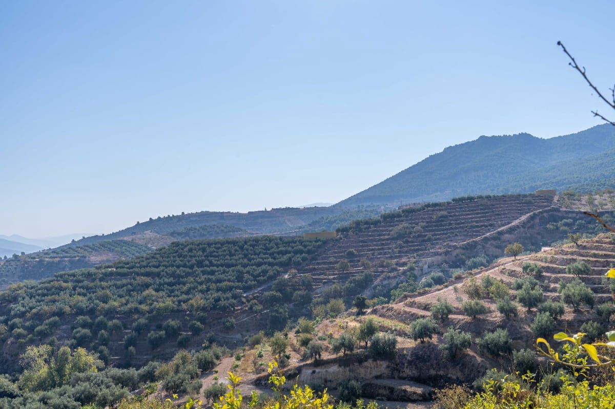 Działka budowlana na sprzedaż w El Valle - 75 000 € (Ref: 6355421)