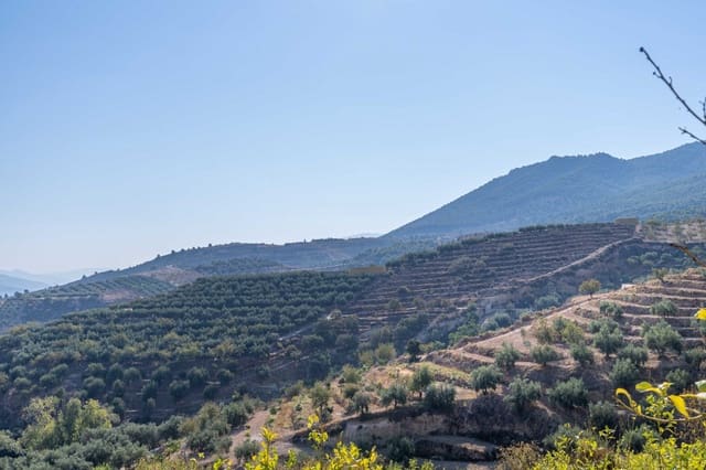 Tomt till salu i El Valle - 75 000 € (Ref: 6355421)