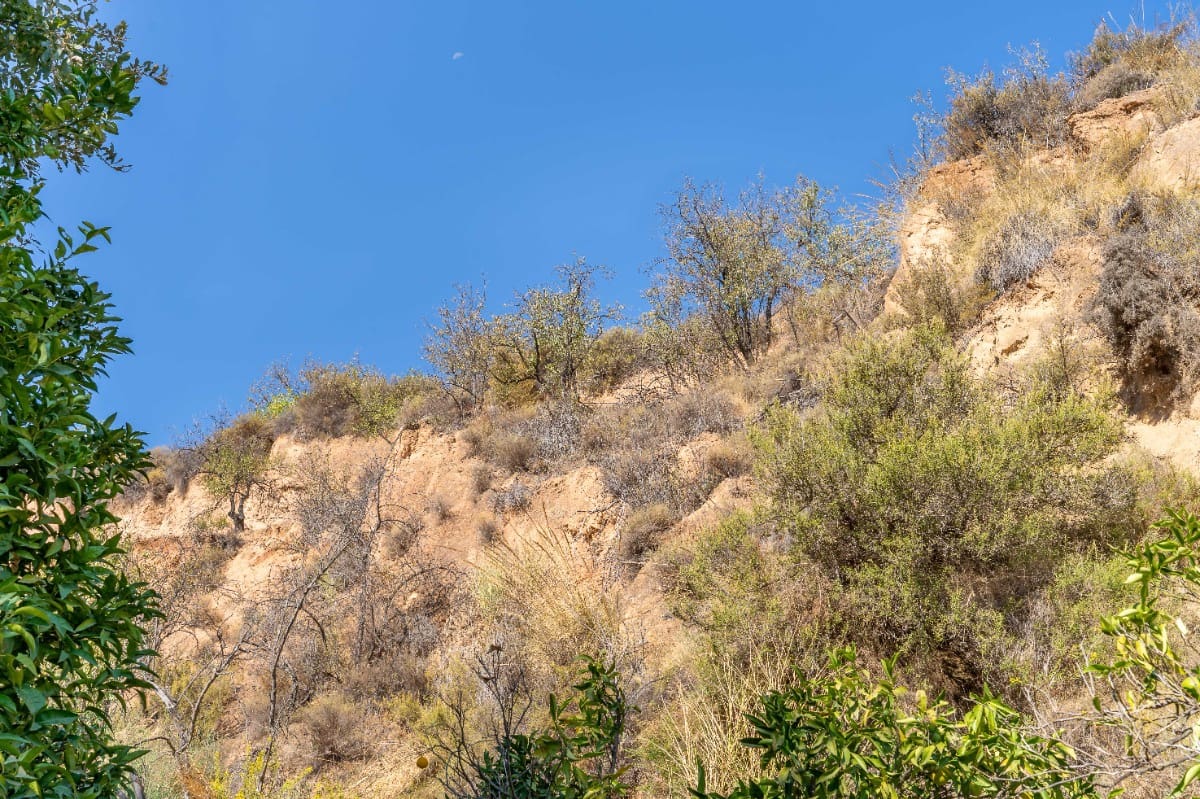 Działka budowlana na sprzedaż w El Valle - 75 000 € (Ref: 6355421)