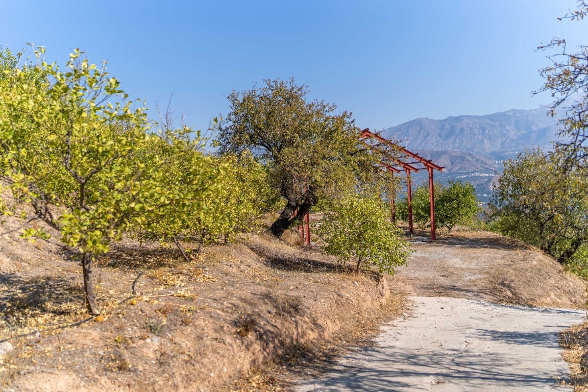 Działka budowlana na sprzedaż w El Valle - 75 000 € (Ref: 6355421)