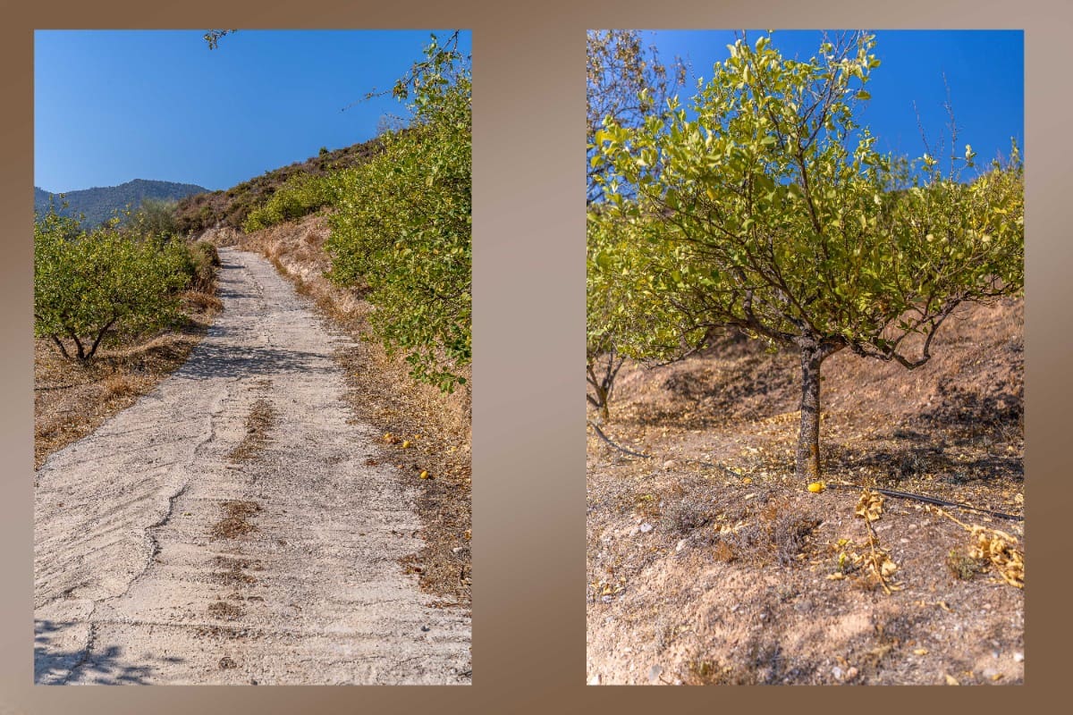 Działka budowlana na sprzedaż w El Valle - 75 000 € (Ref: 6355421)