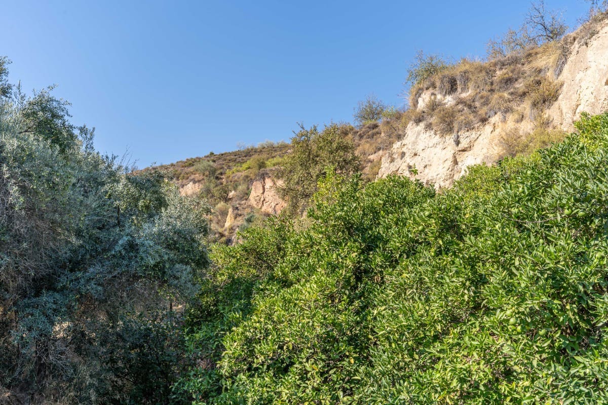 Działka budowlana na sprzedaż w El Valle - 75 000 € (Ref: 6355421)