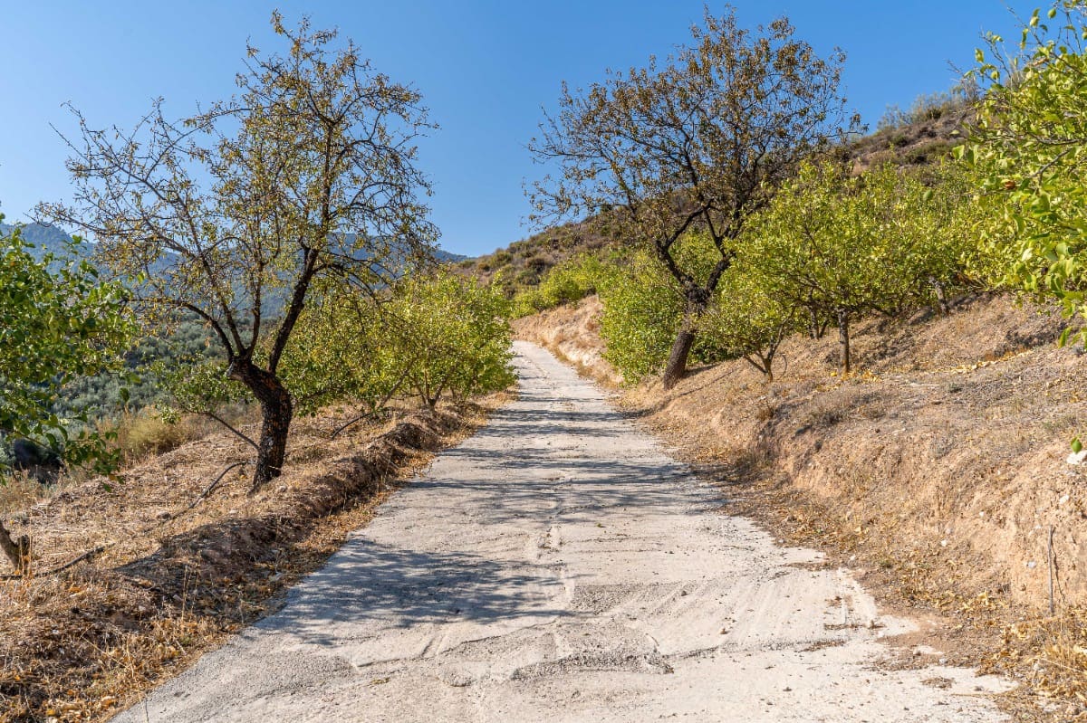 Działka budowlana na sprzedaż w El Valle - 75 000 € (Ref: 6355421)