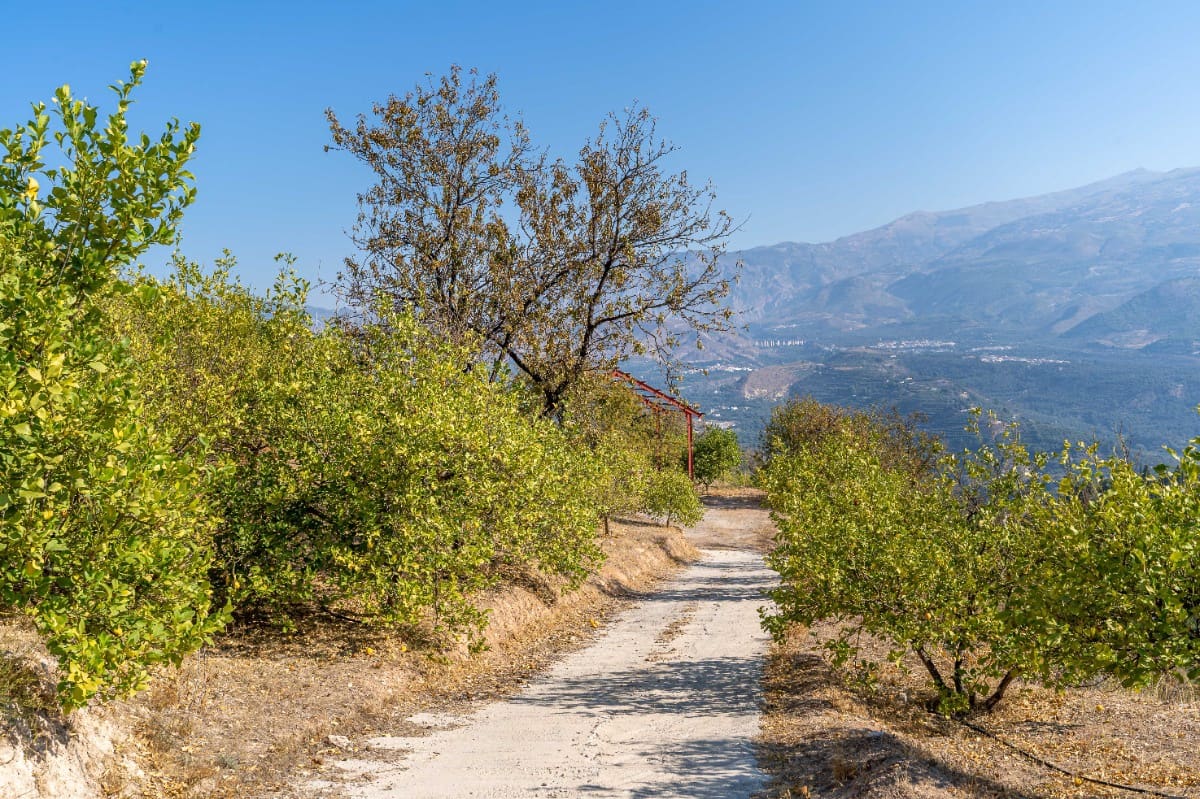 Działka budowlana na sprzedaż w El Valle - 75 000 € (Ref: 6355421)