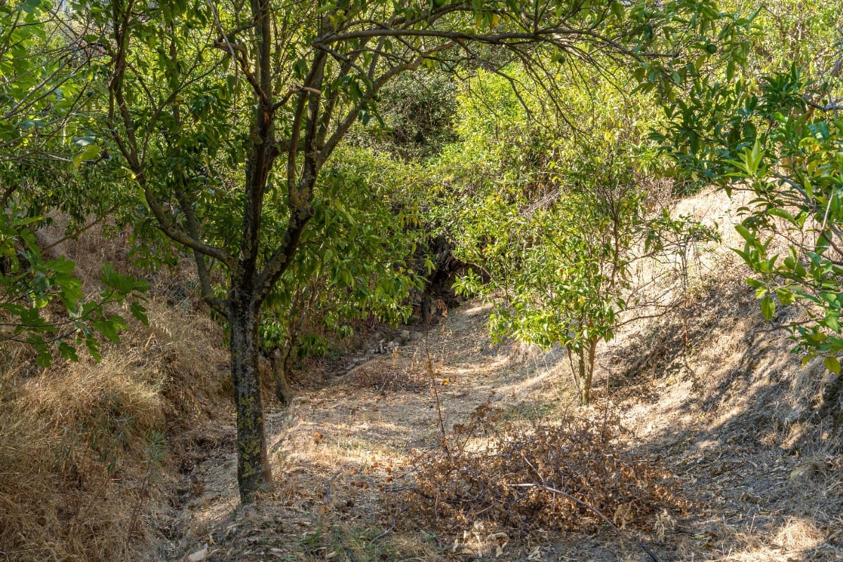 Działka budowlana na sprzedaż w El Valle - 75 000 € (Ref: 6355421)