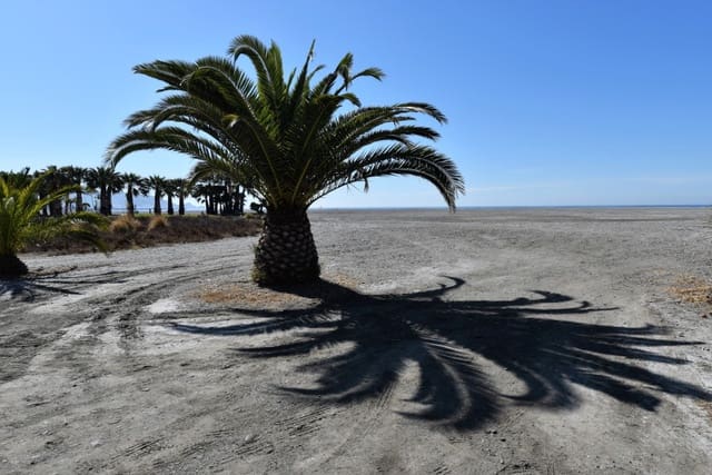 Erhverv til salg i Motril - € 160.000 (Ref: 6720618)