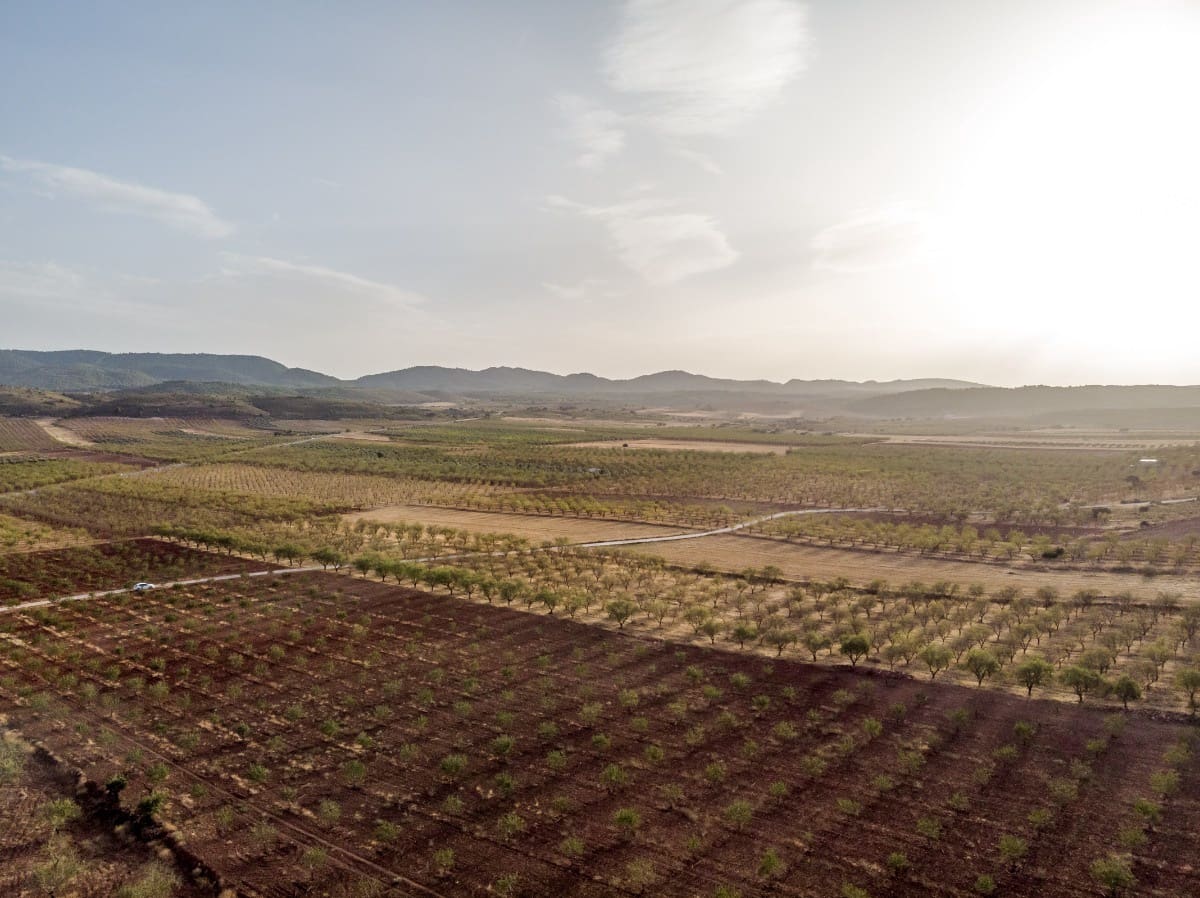 Bouwgrond te koop in Padul - € 70.000 (Ref: 6720624)