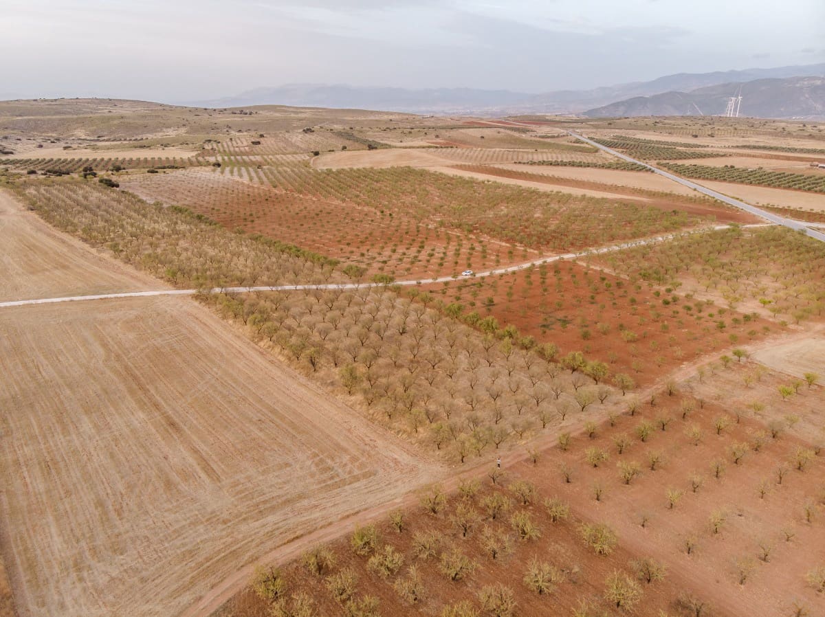 Bouwgrond te koop in Padul - € 70.000 (Ref: 6720624)