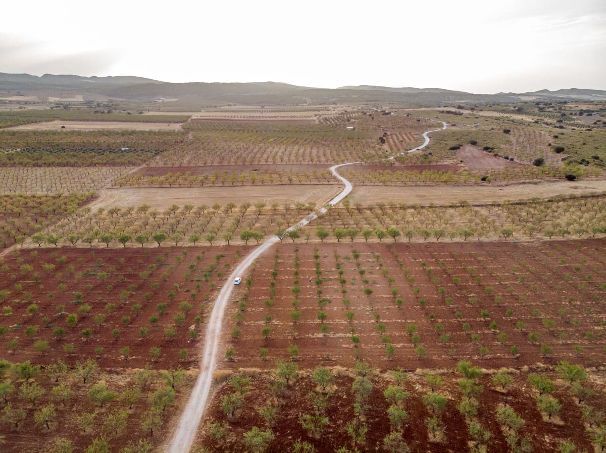 Bouwgrond te koop in Padul - € 70.000 (Ref: 6720624)