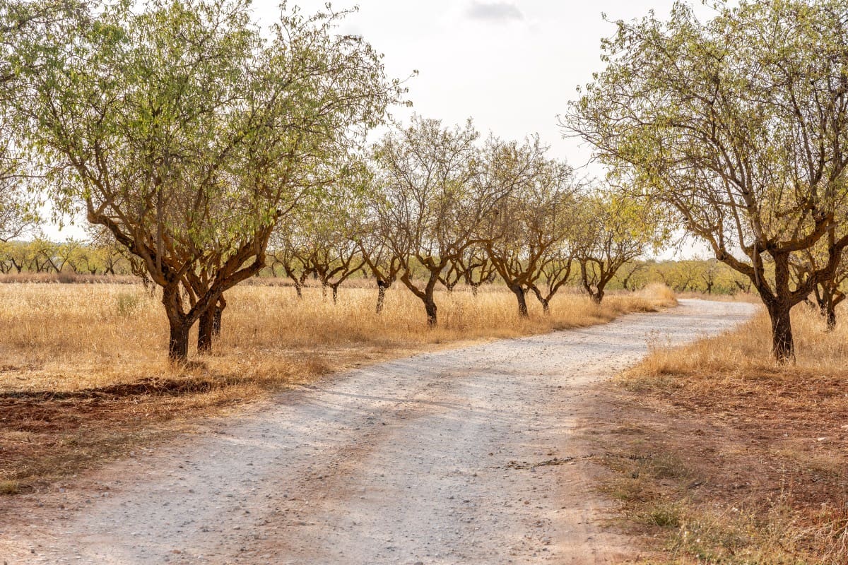 Bouwgrond te koop in Padul - € 70.000 (Ref: 6720624)