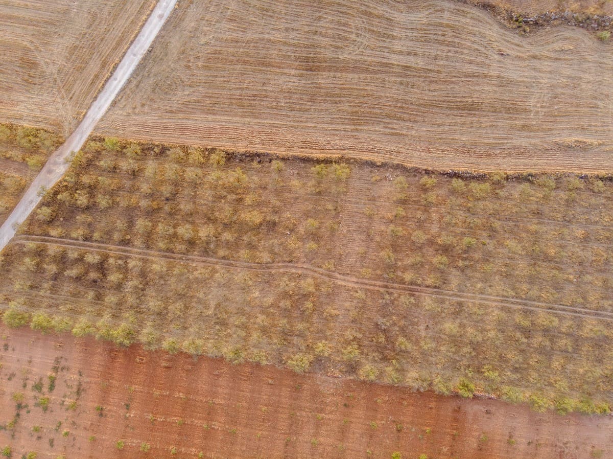 Bouwgrond te koop in Padul - € 70.000 (Ref: 6720624)