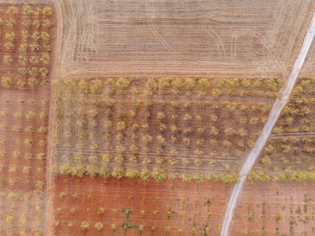 Bouwgrond te koop in Padul - € 70.000 (Ref: 6720624)