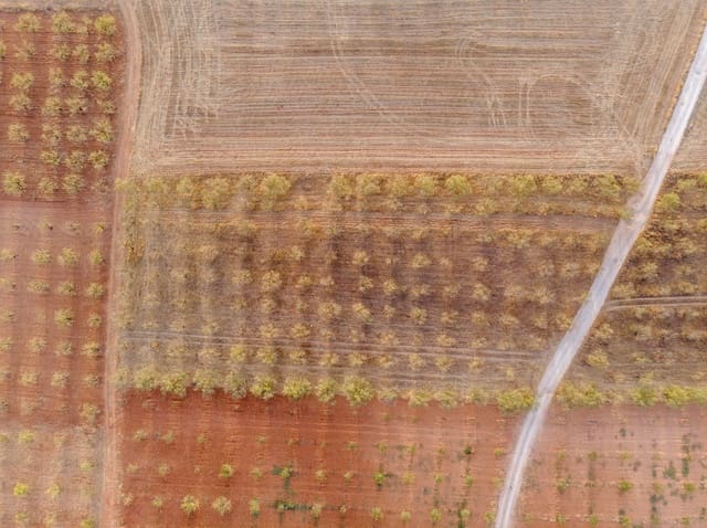 Bouwgrond te koop in Padul - € 70.000 (Ref: 6720624)