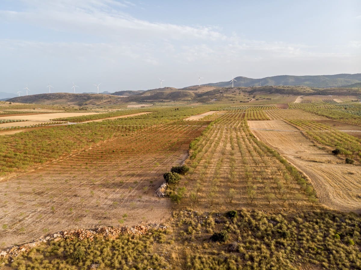 Bouwgrond te koop in Padul - € 70.000 (Ref: 6720624)