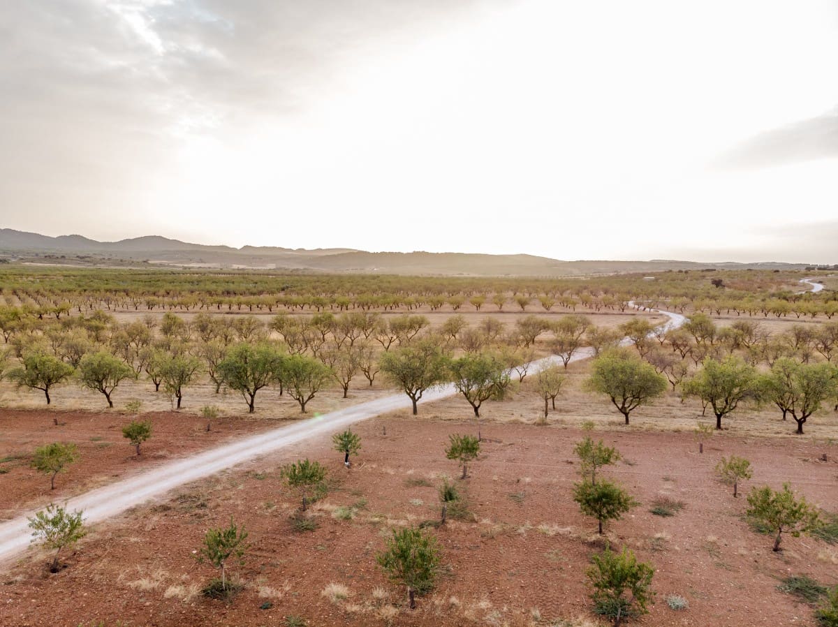 Bouwgrond te koop in Padul - € 70.000 (Ref: 6720624)