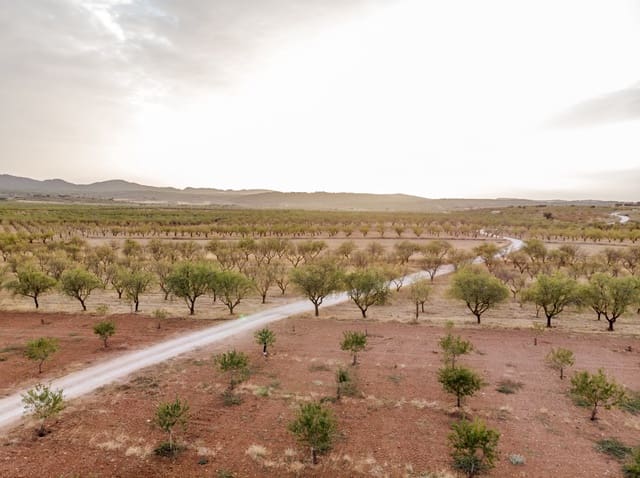 Bouwgrond te koop in Padul - € 70.000 (Ref: 6720624)