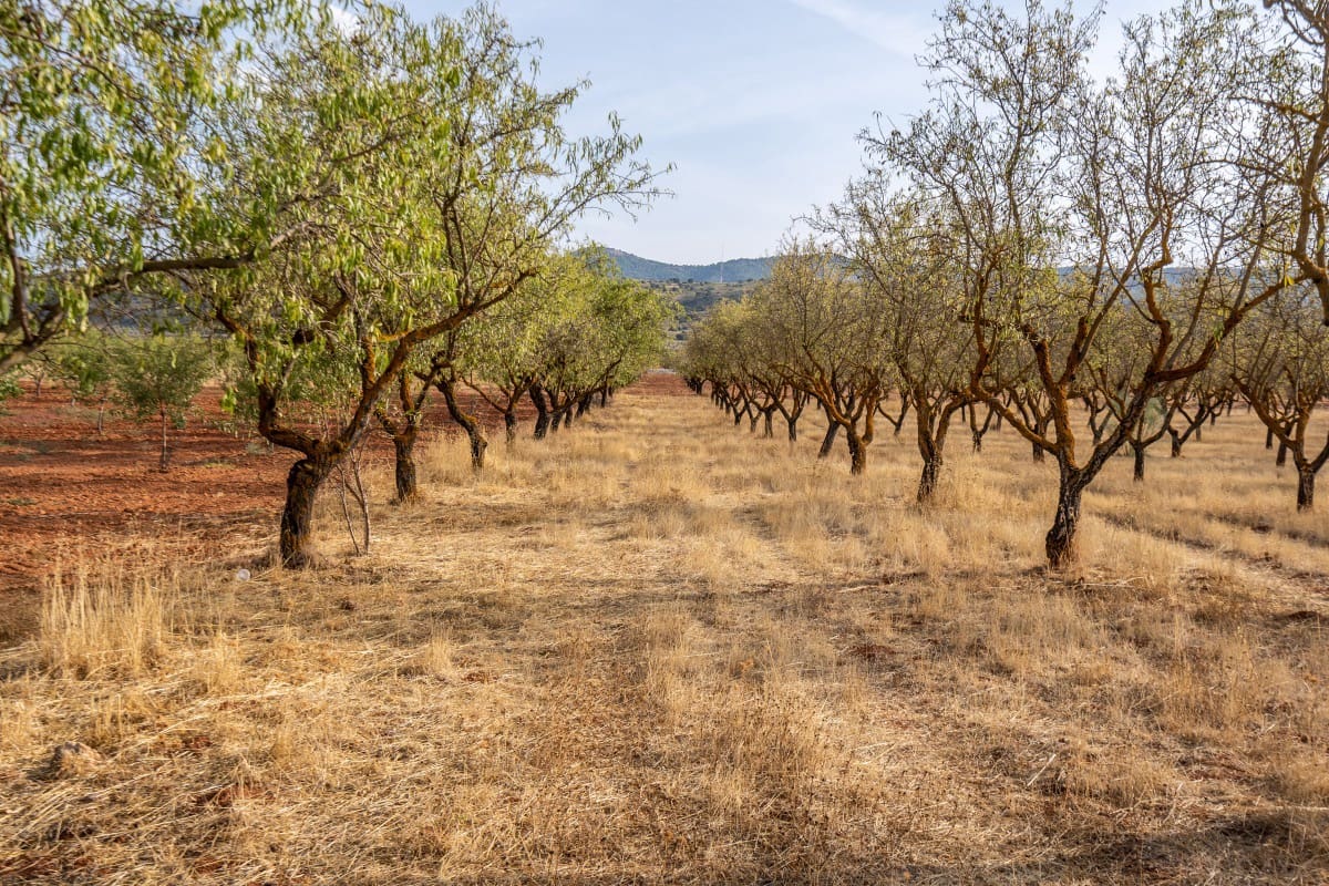 Bouwgrond te koop in Padul - € 70.000 (Ref: 6720624)