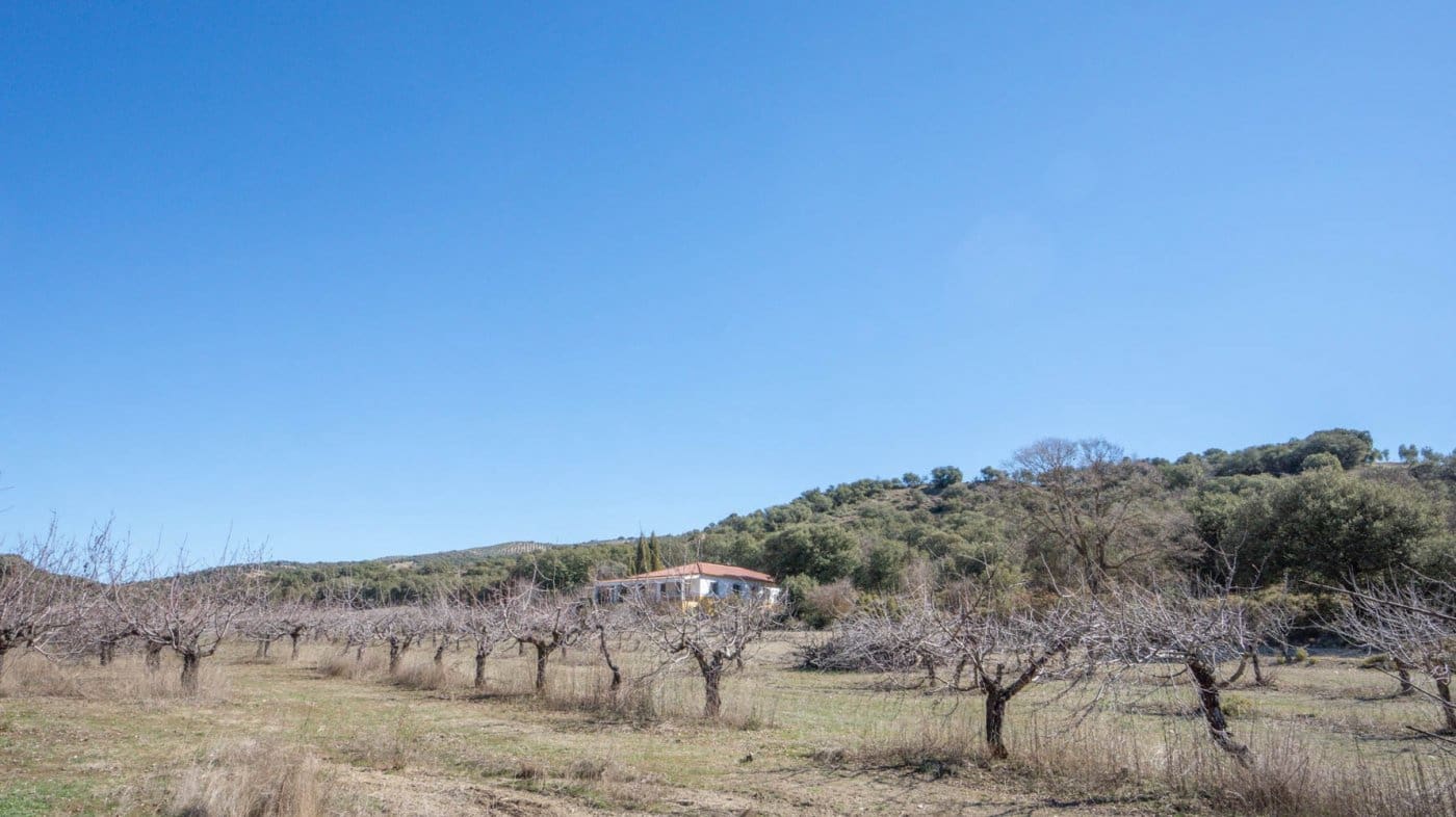 3 bedroom Finca/Country House for sale in Iznalloz - € 220,000 (Ref: 6744465)