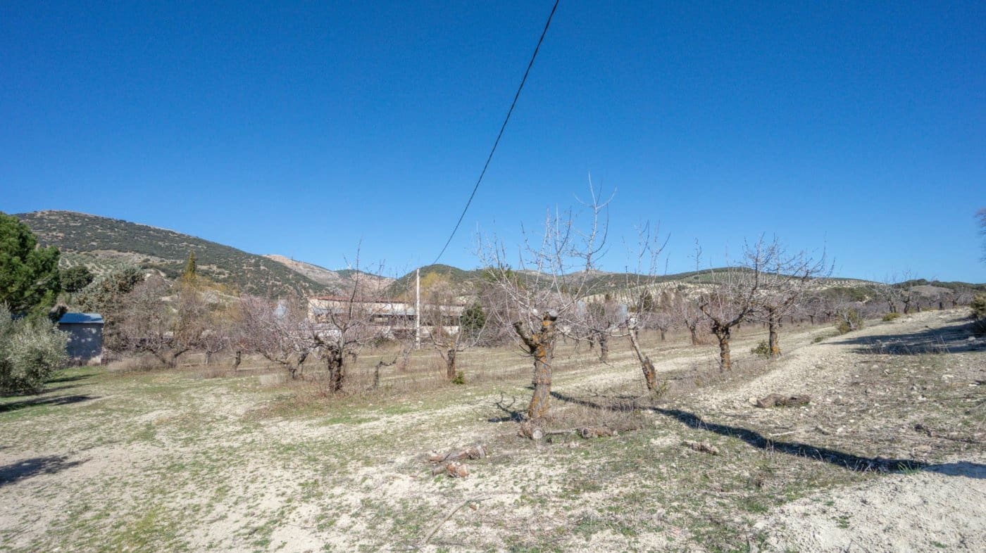 3 bedroom Finca/Country House for sale in Iznalloz - € 220,000 (Ref: 6744465)