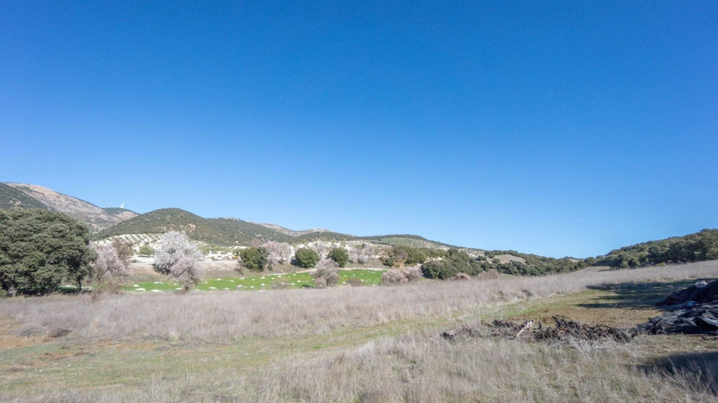 3 bedroom Finca/Country House for sale in Iznalloz - € 220,000 (Ref: 6744465)