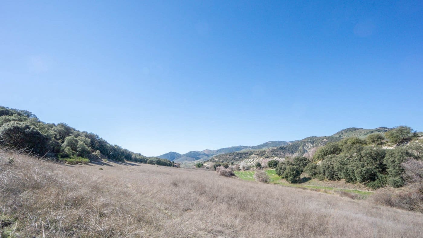 3 bedroom Finca/Country House for sale in Iznalloz - € 220,000 (Ref: 6744465)