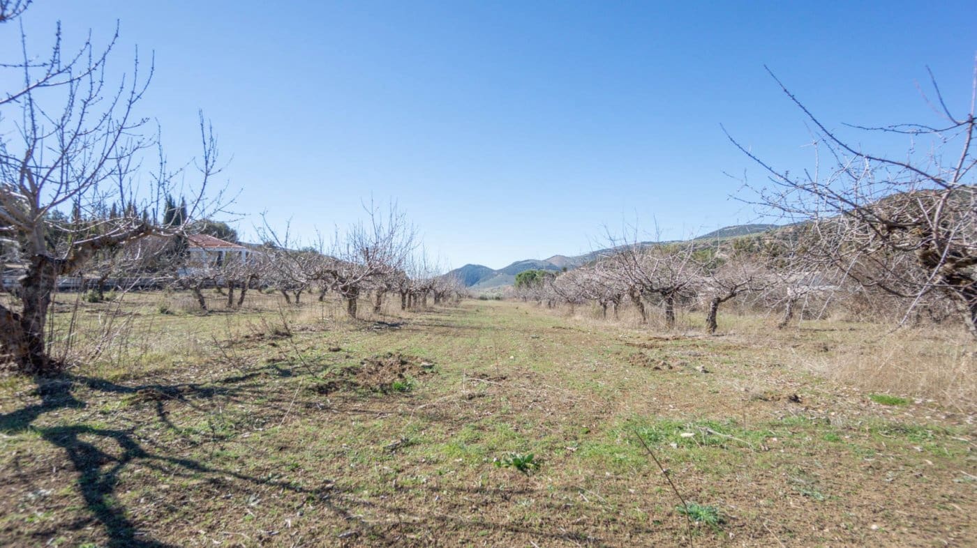 3 bedroom Finca/Country House for sale in Iznalloz - € 220,000 (Ref: 6744465)