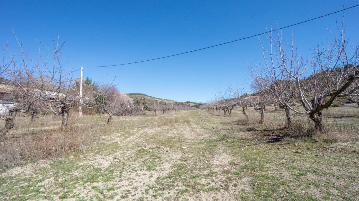 3 bedroom Finca/Country House for sale in Iznalloz - € 220,000 (Ref: 6744465)