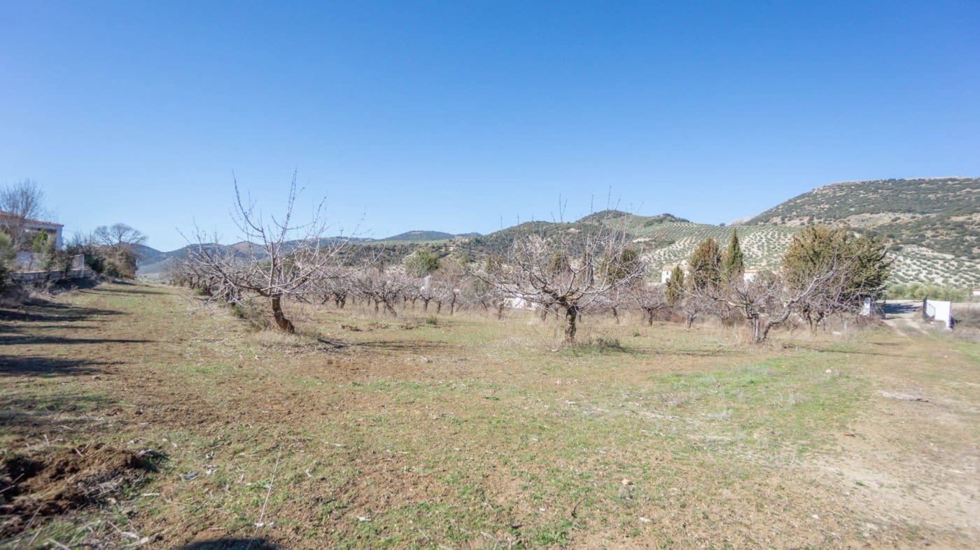 3 bedroom Finca/Country House for sale in Iznalloz - € 220,000 (Ref: 6744465)