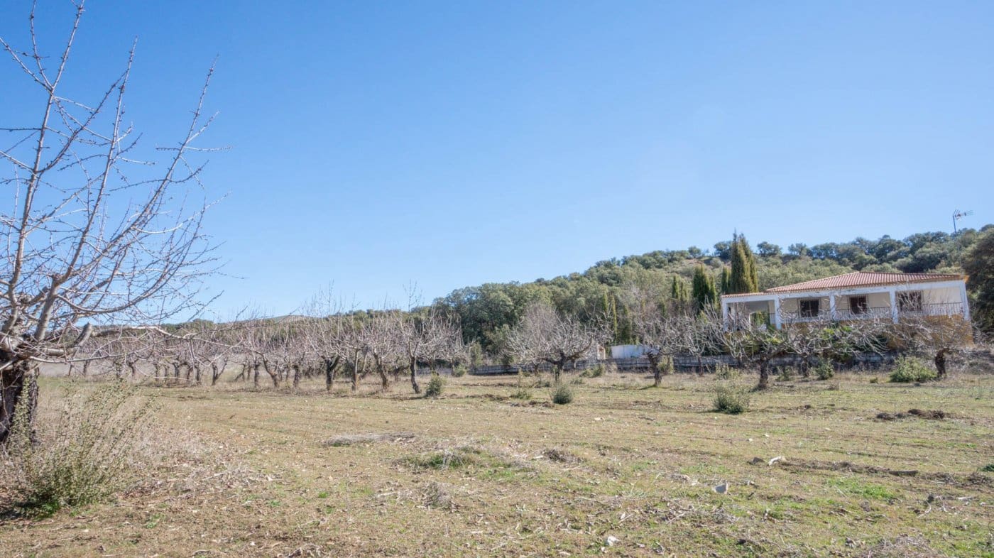 3 bedroom Finca/Country House for sale in Iznalloz - € 220,000 (Ref: 6744465)