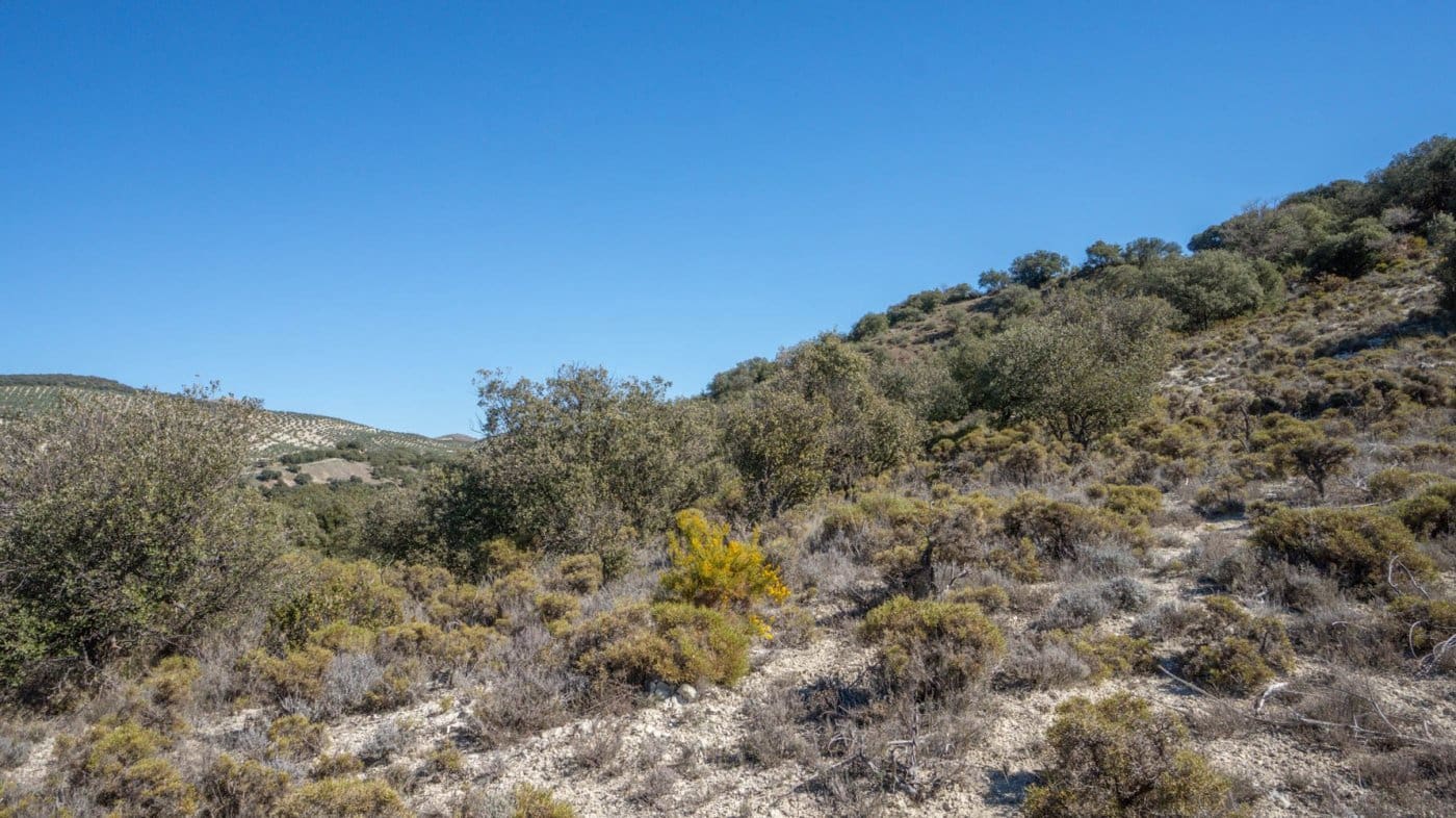 3 bedroom Finca/Country House for sale in Iznalloz - € 220,000 (Ref: 6744465)