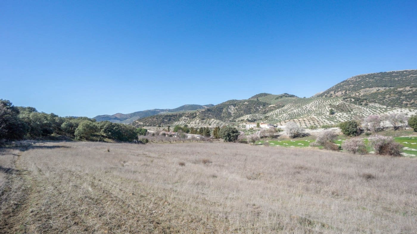 3 bedroom Finca/Country House for sale in Iznalloz - € 220,000 (Ref: 6744465)