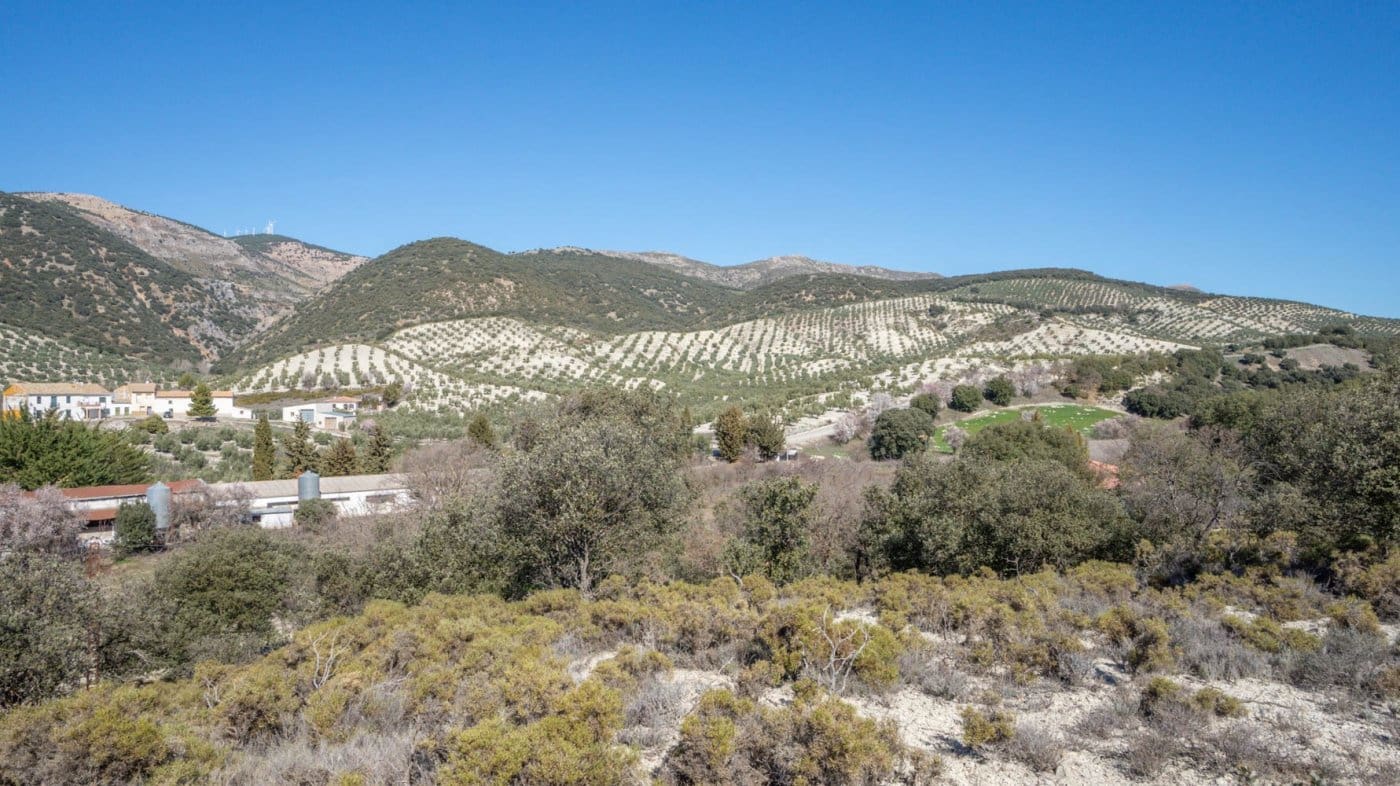 3 bedroom Finca/Country House for sale in Iznalloz - € 220,000 (Ref: 6744465)