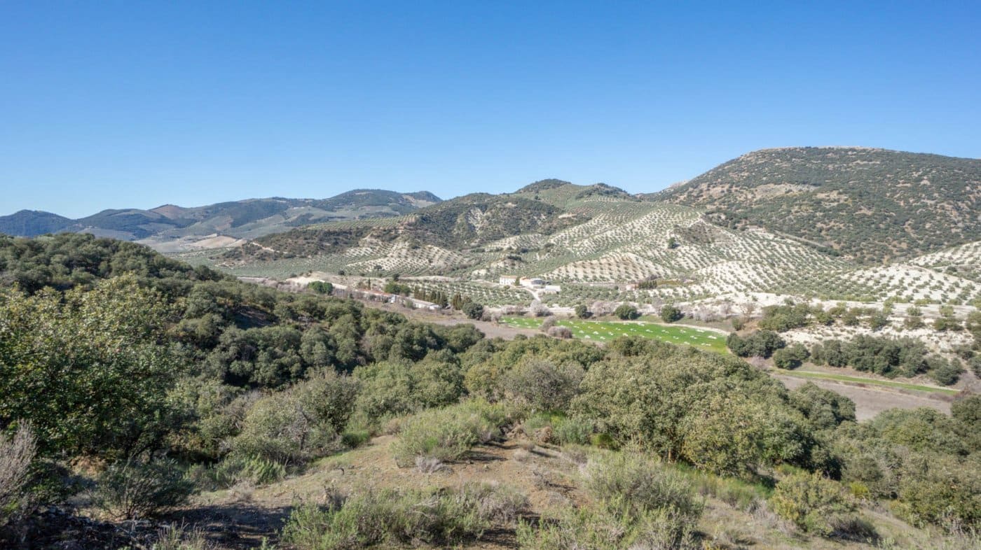 3 bedroom Finca/Country House for sale in Iznalloz - € 220,000 (Ref: 6744465)