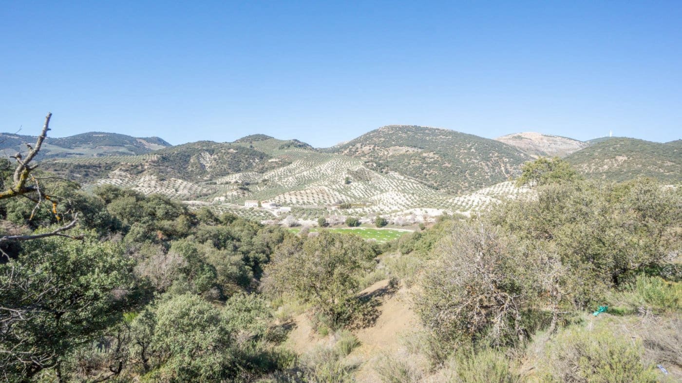 3 bedroom Finca/Country House for sale in Iznalloz - € 220,000 (Ref: 6744465)