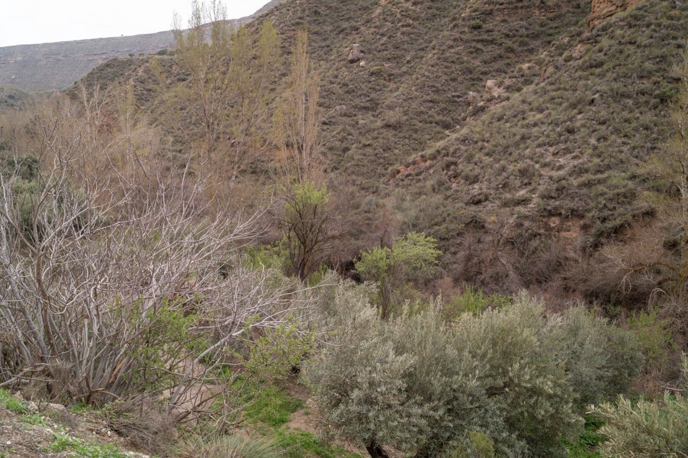 9 soverom Grottehus til salgs i Gorafe med garasje - € 220 000 (Ref: 6753887)