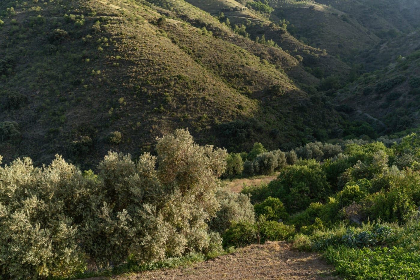 2 soveværelse Lejlighed til salg i Alfornon - € 35.000 (Ref: 6893609)