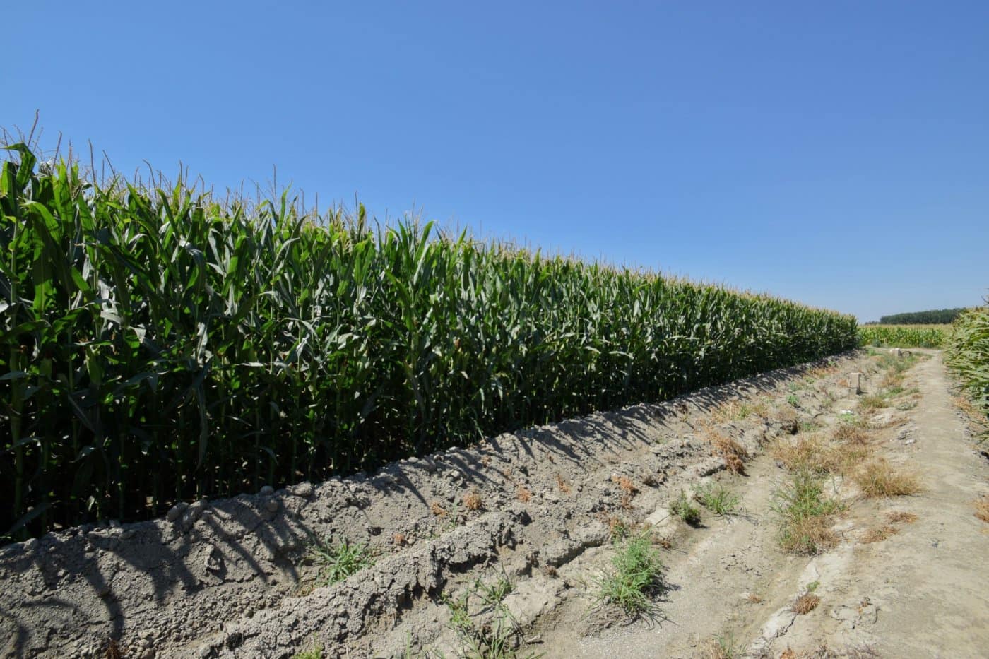 Finca/Casa di Campagna in vendita in Belicena - 32.500 € (Rif: 7043489)