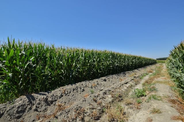 Finca/Landhuis te koop in Belicena, Vegas del Genil - € 32.500 (Ref: 7043489)