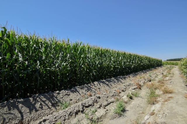 Finca/Landhuis te koop in Belicena, Vegas del Genil - € 32.500 (Ref: 7043489)