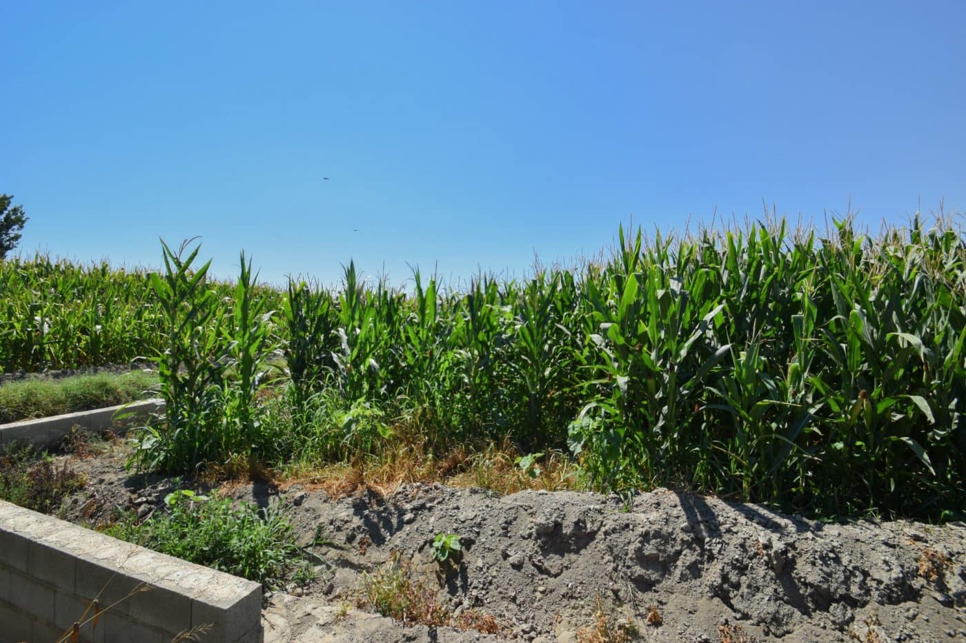 Finca/Casa di Campagna in vendita in Belicena - 32.500 € (Rif: 7043489)