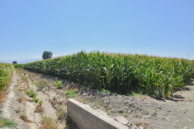 Finca/Landhuis te koop in Belicena, Vegas del Genil - € 32.500 (Ref: 7043489)